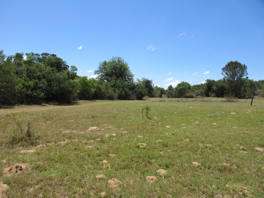 0 Bedroom Property for Sale in Bathurst Eastern Cape